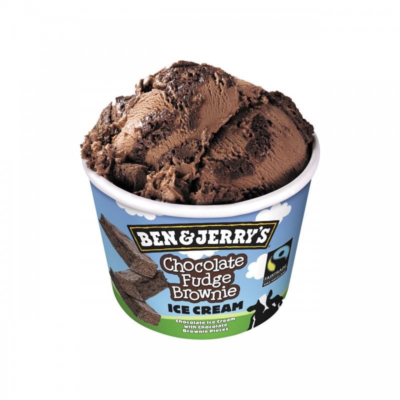 Ben & Jerry’s Chocolate Fudge Brownie 100ml