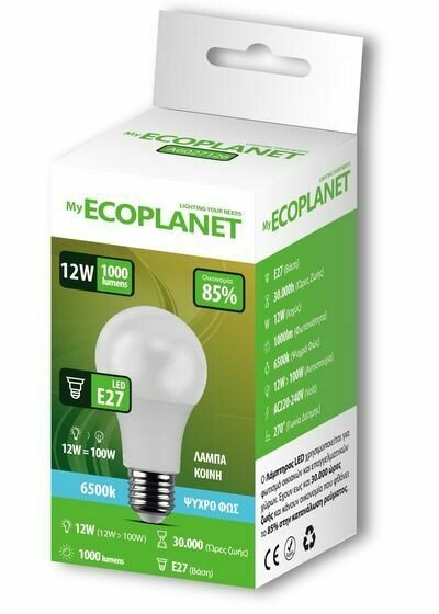Ecoplanet 12w = 100w E27 Led 6500K