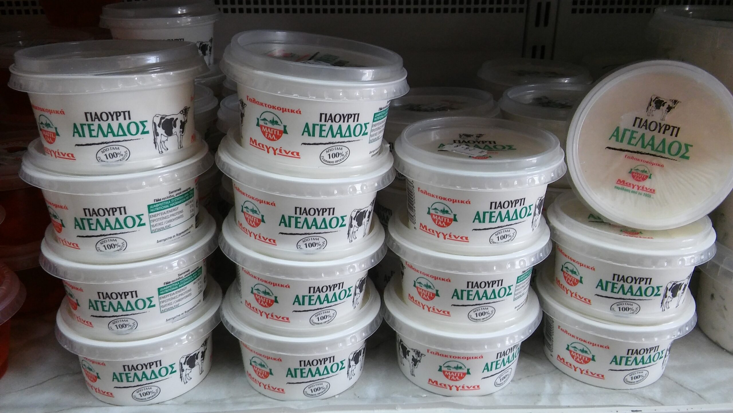 Μαγγίνας Γιαούρτι Αγελάδος (224gr)